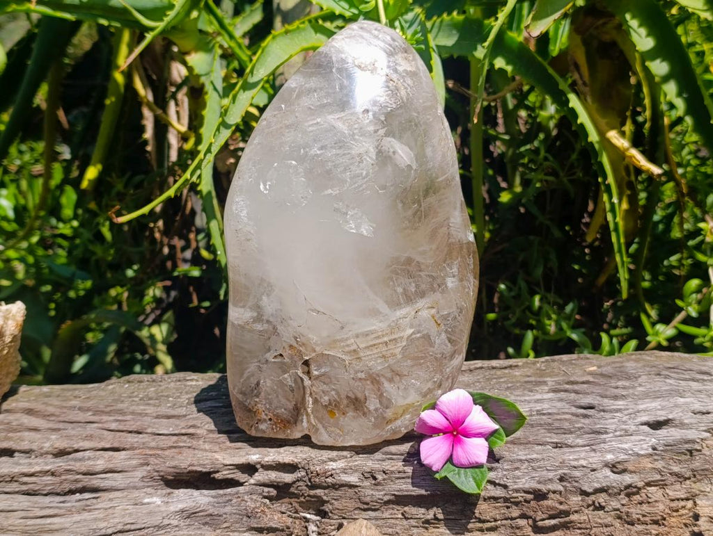 Polished Large Smokey Window Quartz Standing Free Form x 1 From Madagascar