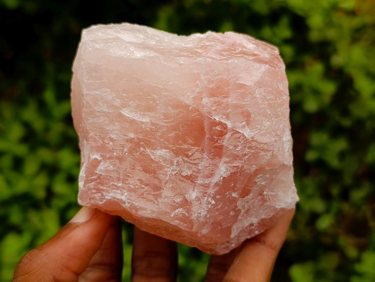 Natural Cobbed Rose Quartz Specimens x 5 From Northern Cape, South Africa