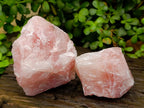 Natural Cobbed Rose Quartz Specimens x 5 From Northern Cape, South Africa