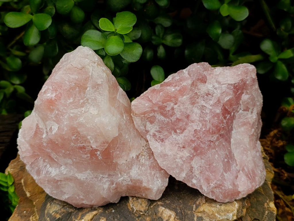 Natural Cobbed Rose Quartz Specimens x 5 From Northern Cape, South Africa