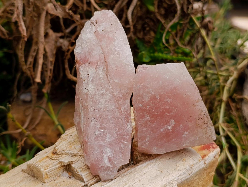 Natural Cobbed Rose Quartz Specimens x 5 From Northern Cape, South Africa