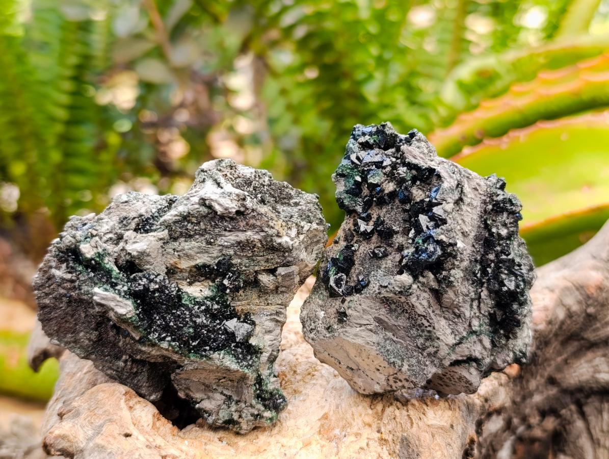 Natural Libethenite Crystals on Dolomite Matrix Specimens x 12 From Shituru, Congo