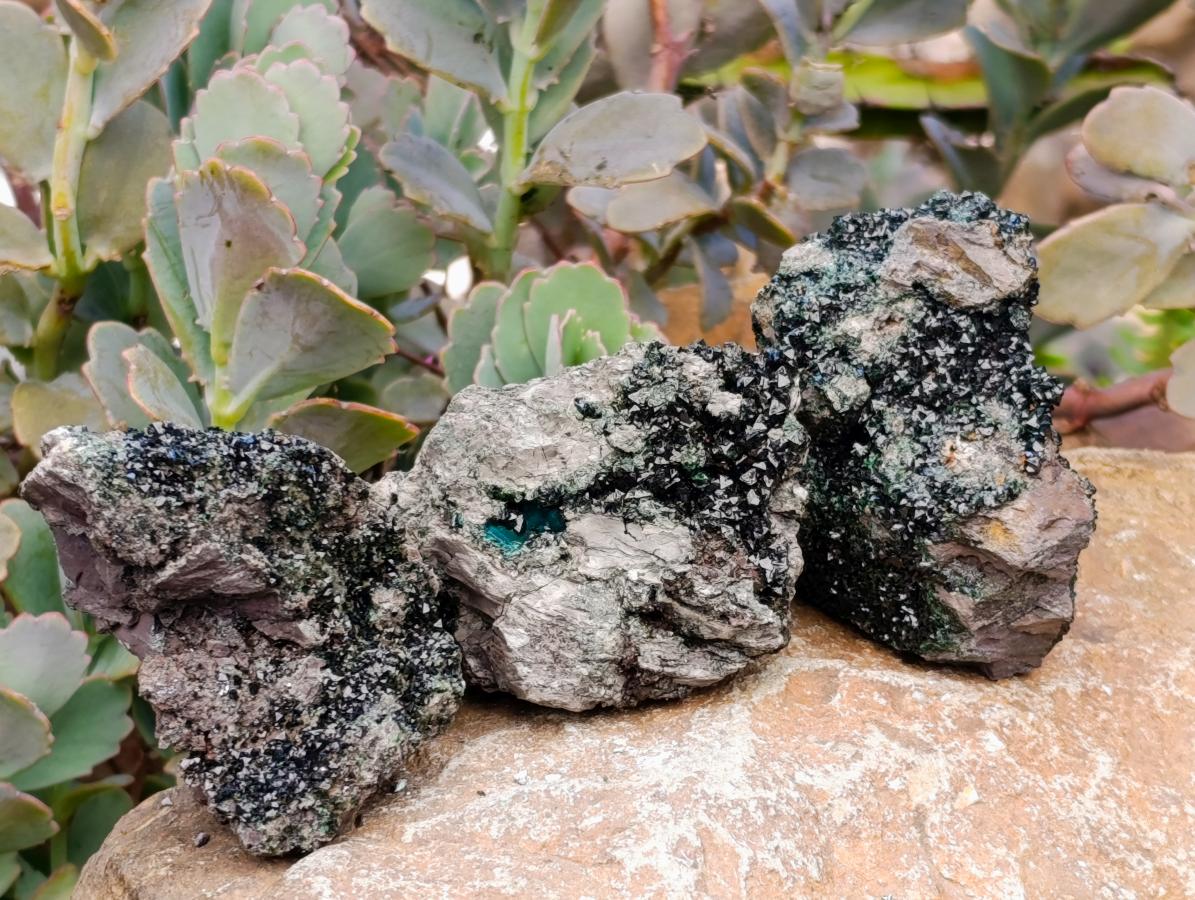 Natural Libethenite Crystals on Dolomite Matrix Specimens x 12 From Shituru, Congo