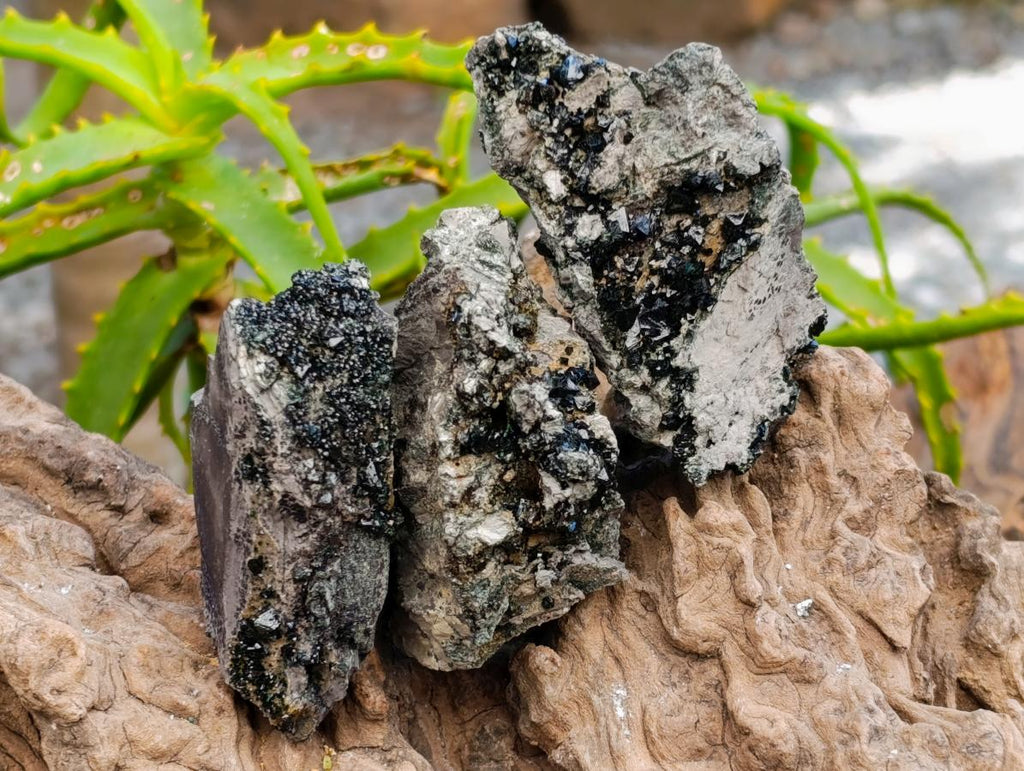 Natural Libethenite Crystals on Dolomite Matrix Specimens x 12 From Shituru, Congo
