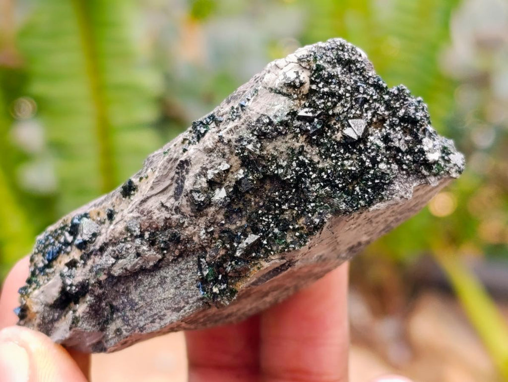 Natural Libethenite Crystals on Dolomite Matrix Specimens x 12 From Shituru, Congo