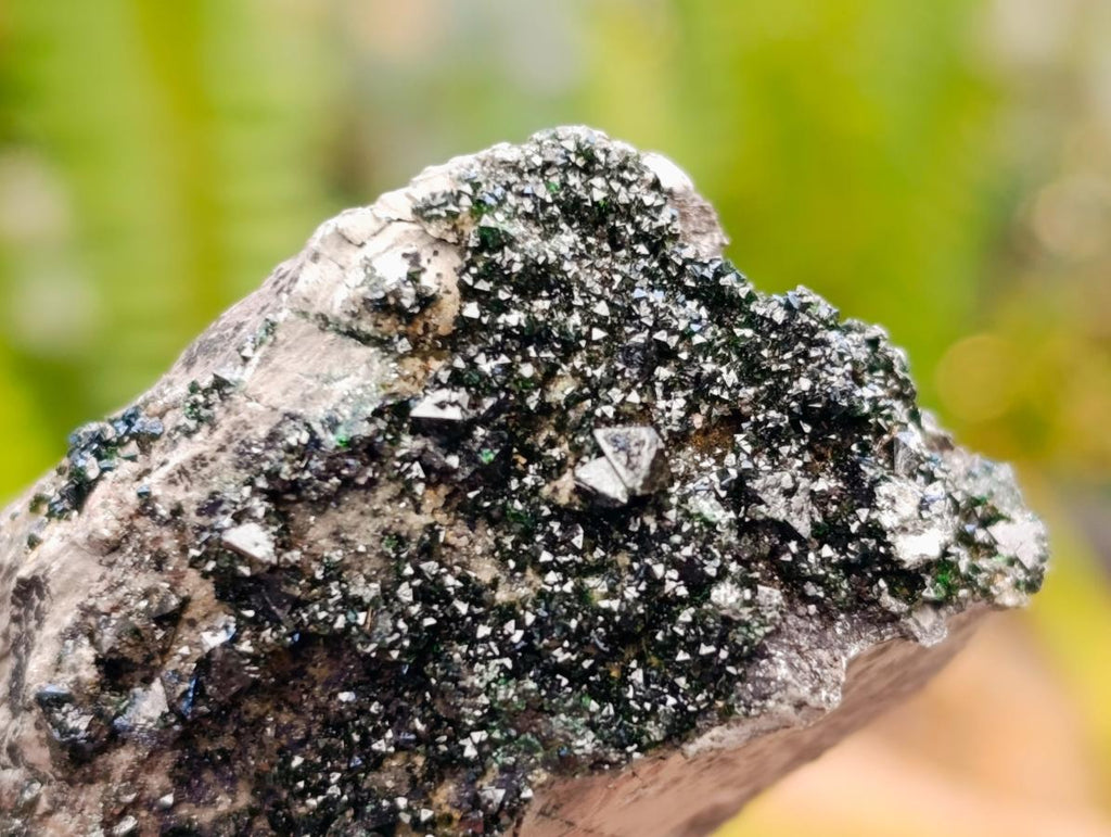 Natural Libethenite Crystals on Dolomite Matrix Specimens x 12 From Shituru, Congo