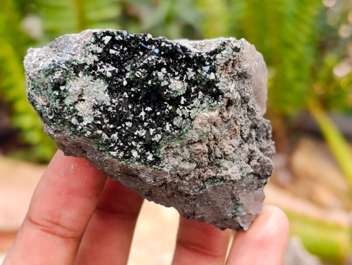 Natural Libethenite Crystals on Dolomite Matrix Specimens x 12 From Shituru, Congo