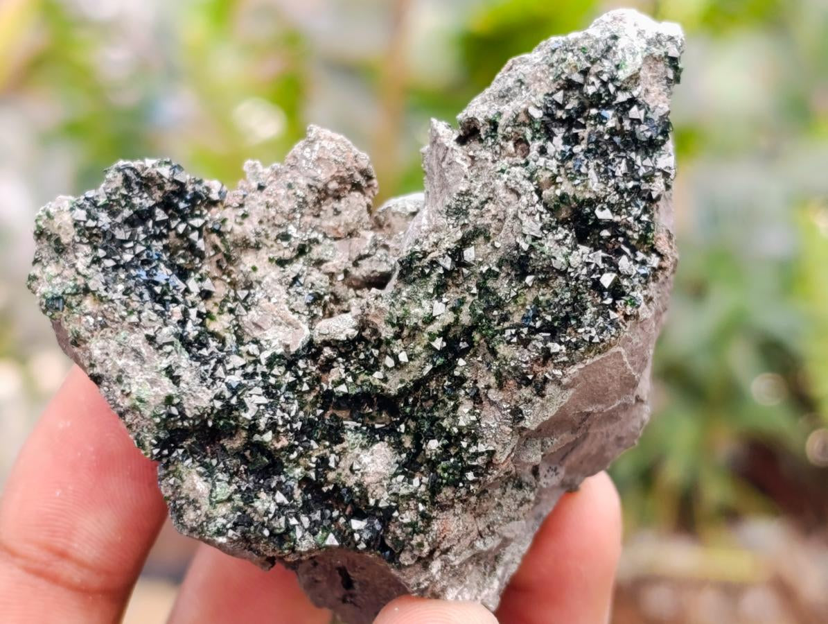 Natural Libethenite Crystals on Dolomite Matrix Specimens x 12 From Shituru, Congo