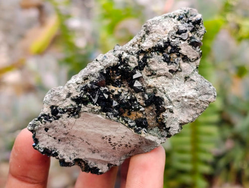 Natural Libethenite Crystals on Dolomite Matrix Specimens x 12 From Shituru, Congo