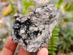 Natural Libethenite Crystals on Dolomite Matrix Specimens x 12 From Shituru, Congo