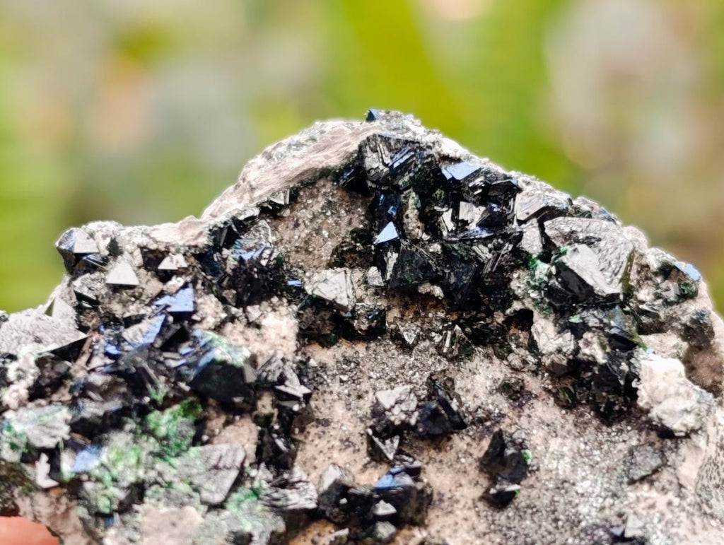 Natural Libethenite Crystals on Dolomite Matrix Specimens x 12 From Shituru, Congo