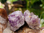 Natural Rare Amethyst Asylum Quartz Clusters x 35 From Luena, Congo