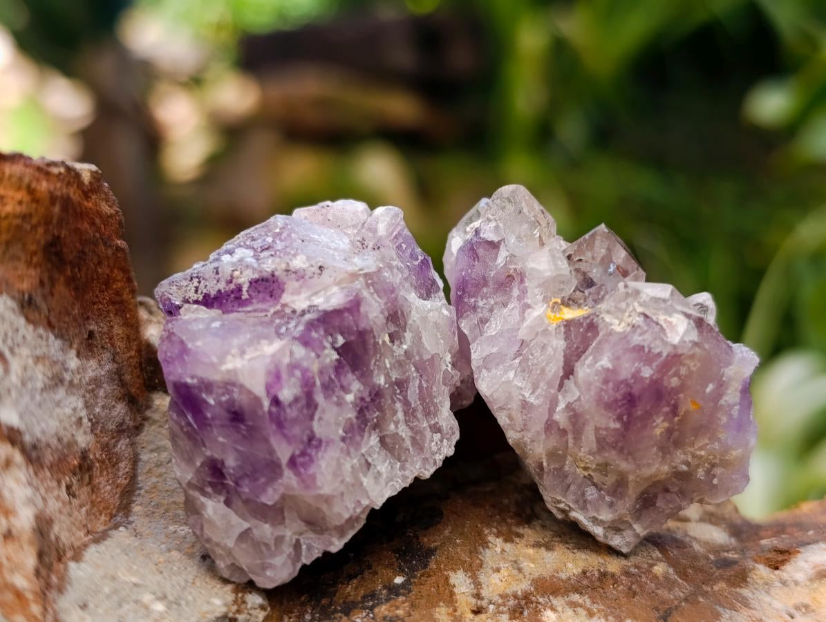 Natural Rare Amethyst Asylum Quartz Clusters x 35 From Luena, Congo