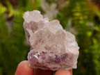 Natural Rare Amethyst Asylum Quartz Clusters x 35 From Luena, Congo