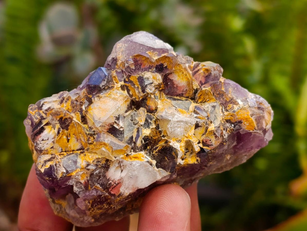Natural Rare Amethyst Asylum Quartz Clusters x 35 From Luena, Congo
