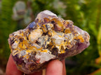 Natural Rare Amethyst Asylum Quartz Clusters x 35 From Luena, Congo