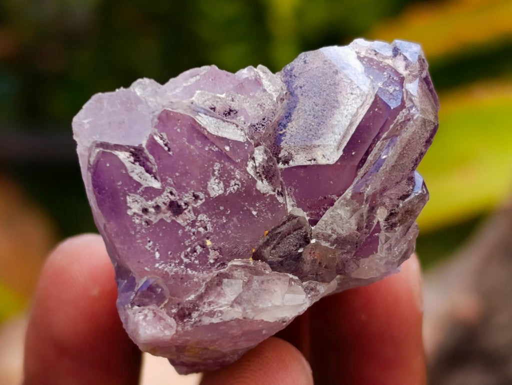 Natural Rare Amethyst Asylum Quartz Clusters x 35 From Luena, Congo