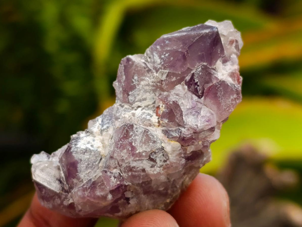 Natural Rare Amethyst Asylum Quartz Clusters x 35 From Luena, Congo