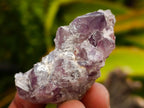 Natural Rare Amethyst Asylum Quartz Clusters x 35 From Luena, Congo
