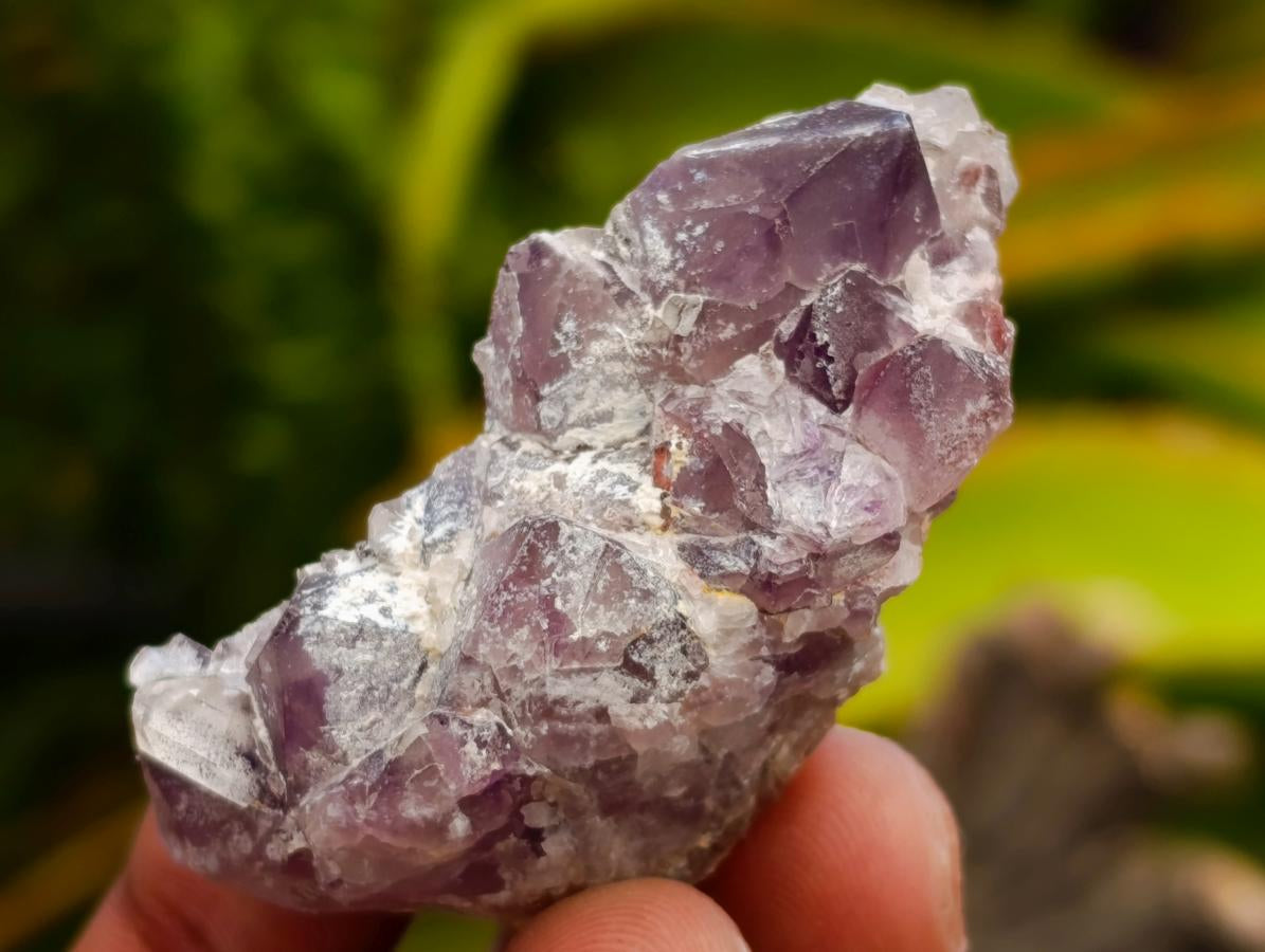 Natural Rare Amethyst Asylum Quartz Clusters x 35 From Luena, Congo