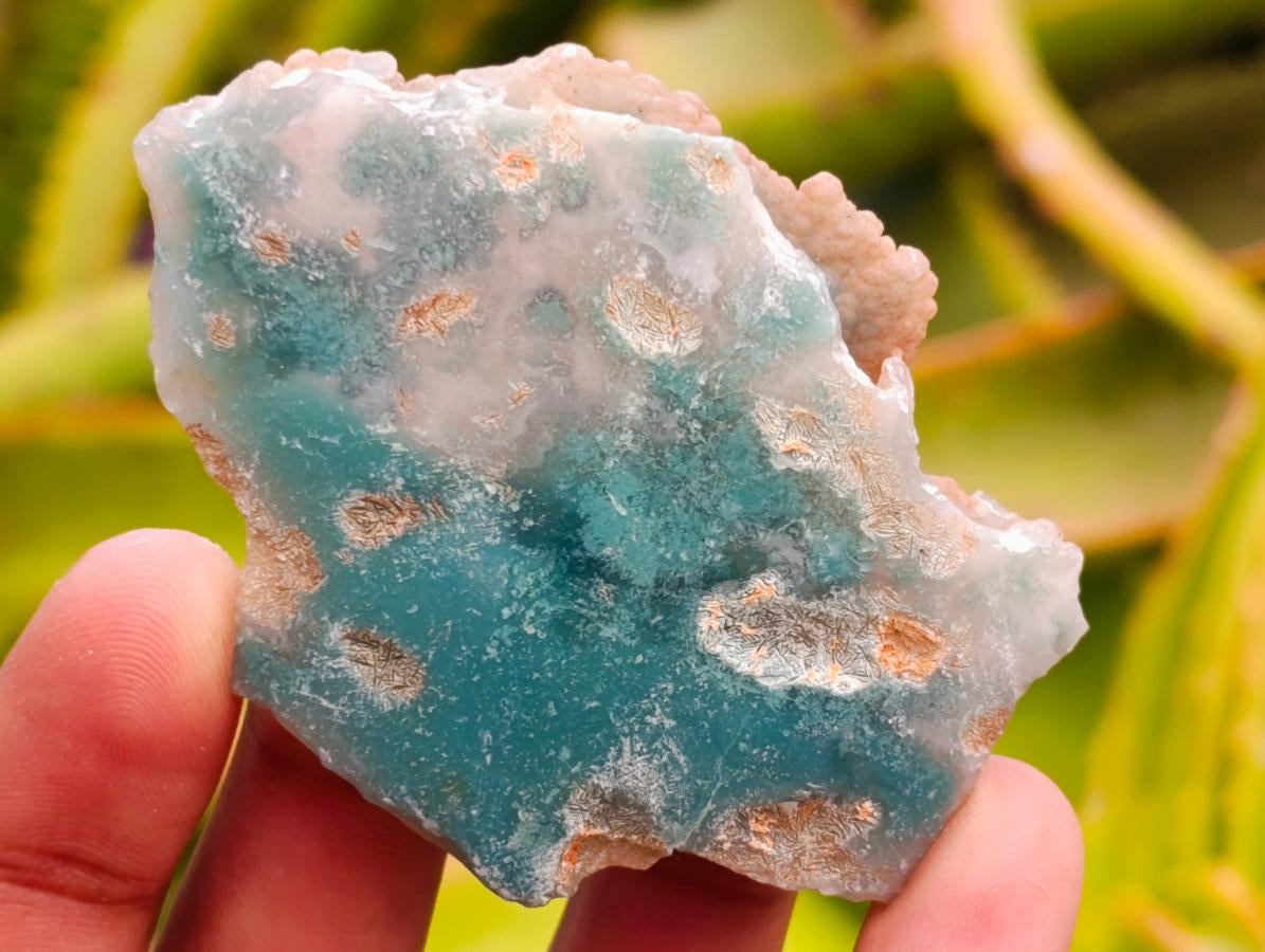 Polished On One Side Mtorolite Chrysoprase Plates x 35 From Mutorashanga, Zimbabwe