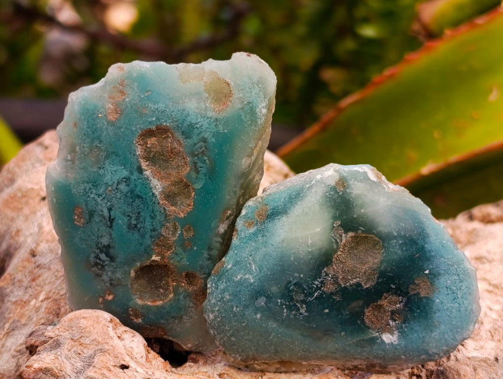 Polished On One Side Mtorolite Chrysoprase Plates x 35 From Mutorashanga, Zimbabwe