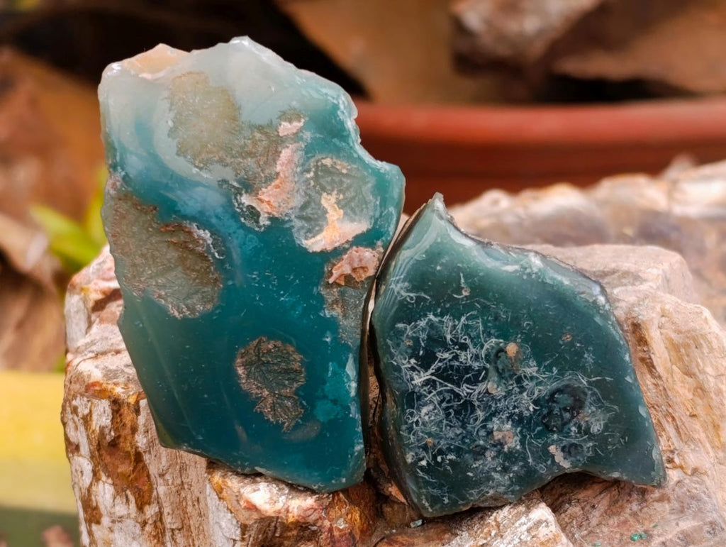 Polished On One Side Mtorolite Chrysoprase Plates x 35 From Mutorashanga, Zimbabwe