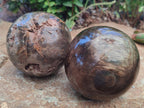 Polished Dadoxylon Petrified Wood Spheres x 3 From Gokwe, Zimbabwe - Toprock Gemstones and Minerals 