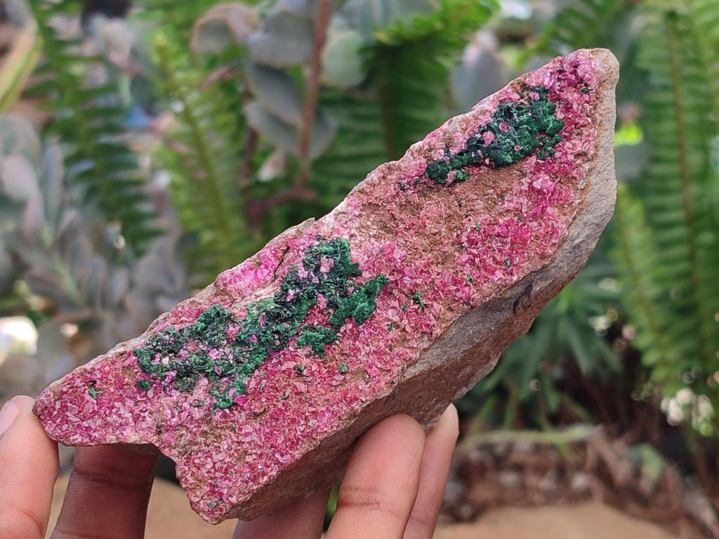 Natural Salrose Cobaltoan Dolomite Specimens with Silky Malachite Crystals x 6 From Kakanda, Congo - Toprock Gemstones and Minerals 