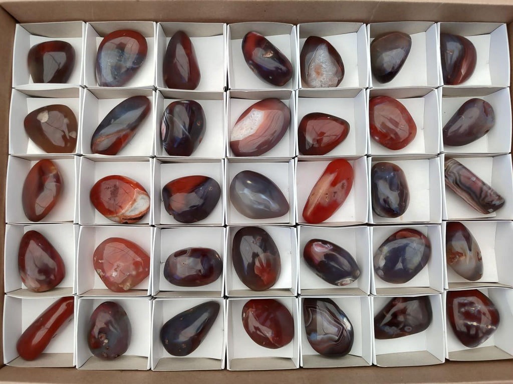 Polished Red Shashe River Agate Galet Free Forms x 35 From Shashe River, Zimbabwe - Toprock Gemstones and Minerals 