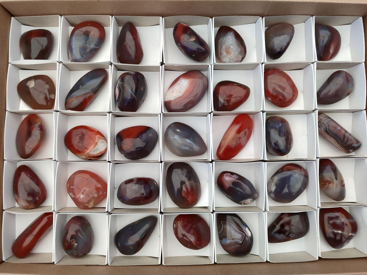 Polished Red Shashe River Agate Galet Free Forms x 35 From Shashe River, Zimbabwe - Toprock Gemstones and Minerals 