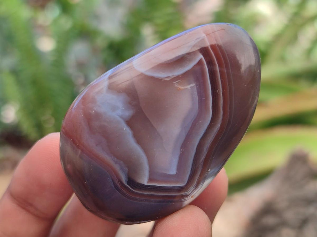 Polished Red Shashe River Agate Galet Free Forms x 35 From Shashe River, Zimbabwe - Toprock Gemstones and Minerals 