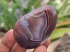 Polished Red Shashe River Agate Galet Free Forms x 35 From Shashe River, Zimbabwe - Toprock Gemstones and Minerals 