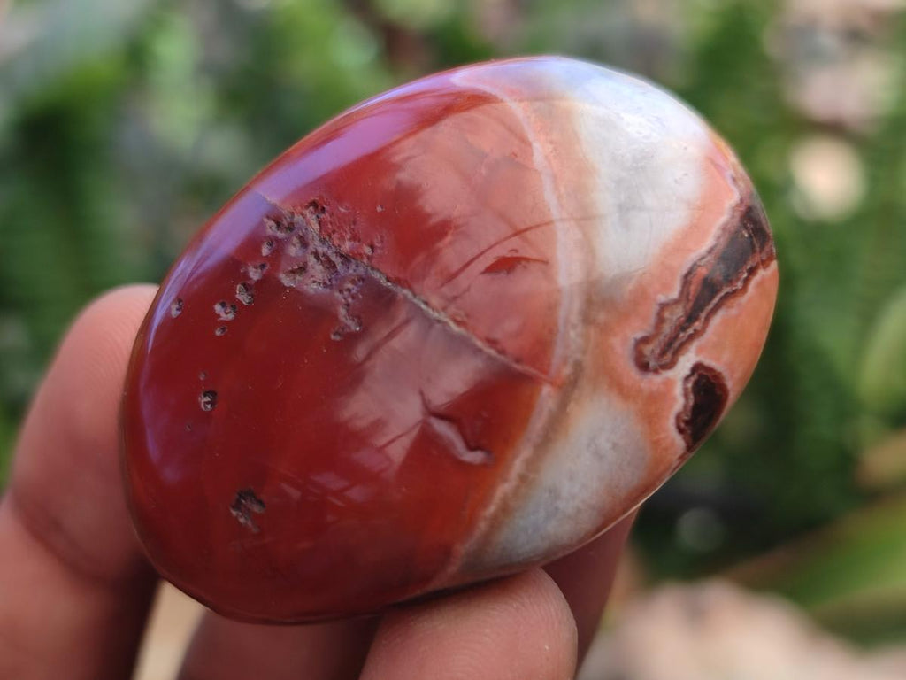Polished Red Shashe River Agate Galet Free Forms x 35 From Shashe River, Zimbabwe - Toprock Gemstones and Minerals 