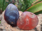 Polished Red Shashe River Agate Galet Free Forms x 35 From Shashe River, Zimbabwe - Toprock Gemstones and Minerals 