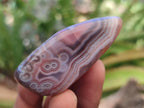 Polished Red Shashe River Agate Galet Free Forms x 35 From Shashe River, Zimbabwe - Toprock Gemstones and Minerals 