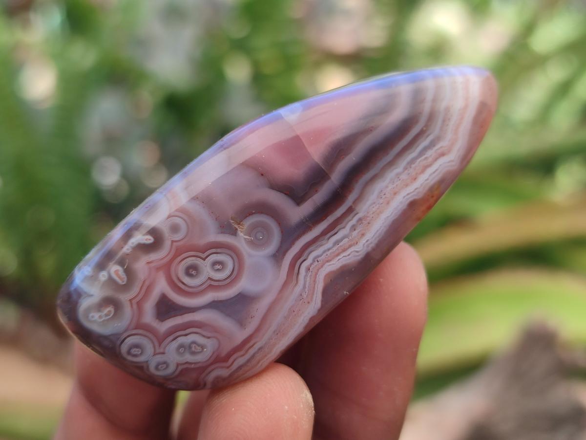 Polished Red Shashe River Agate Galet Free Forms x 35 From Shashe River, Zimbabwe