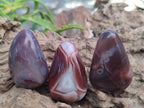 Polished Red Shashe River Agate Galet Free Forms x 35 From Shashe River, Zimbabwe - Toprock Gemstones and Minerals 