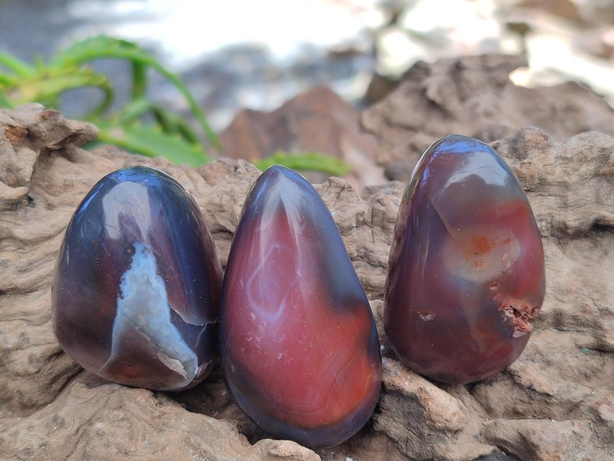 Polished Red Shashe River Agate Galet Free Forms x 35 From Shashe River, Zimbabwe - Toprock Gemstones and Minerals 