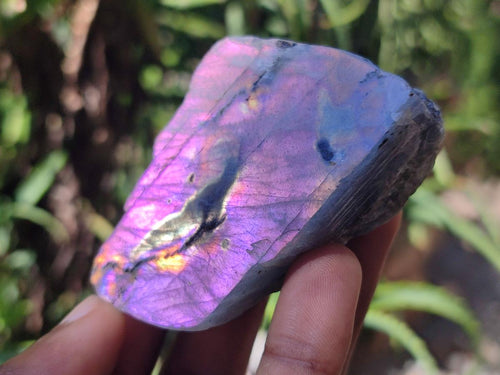 Polished One Side Labradorite Specimens x 24 From Madagascar