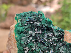 Natural Large Crystalline Malachite Specimen x 1 From Kolwezi, Congo - Toprock Gemstones and Minerals 