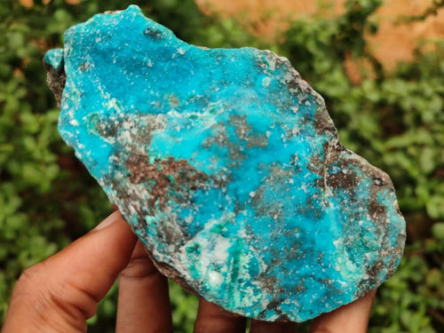 Natural Drusy Coated Chrysocolla with Hemimorphite Specimens x 2 From Lupoto Mine, Congo