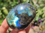 Polished Labradorite Palm Stones x 20 From Madagascar - Toprock Gemstones and Minerals 