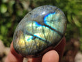 Polished Labradorite Palm Stones x 20 From Madagascar - Toprock Gemstones and Minerals 