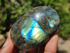 Polished Labradorite Palm Stones x 20 From Madagascar - Toprock Gemstones and Minerals 