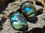 Polished Labradorite Palm Stones x 20 From Madagascar - Toprock Gemstones and Minerals 