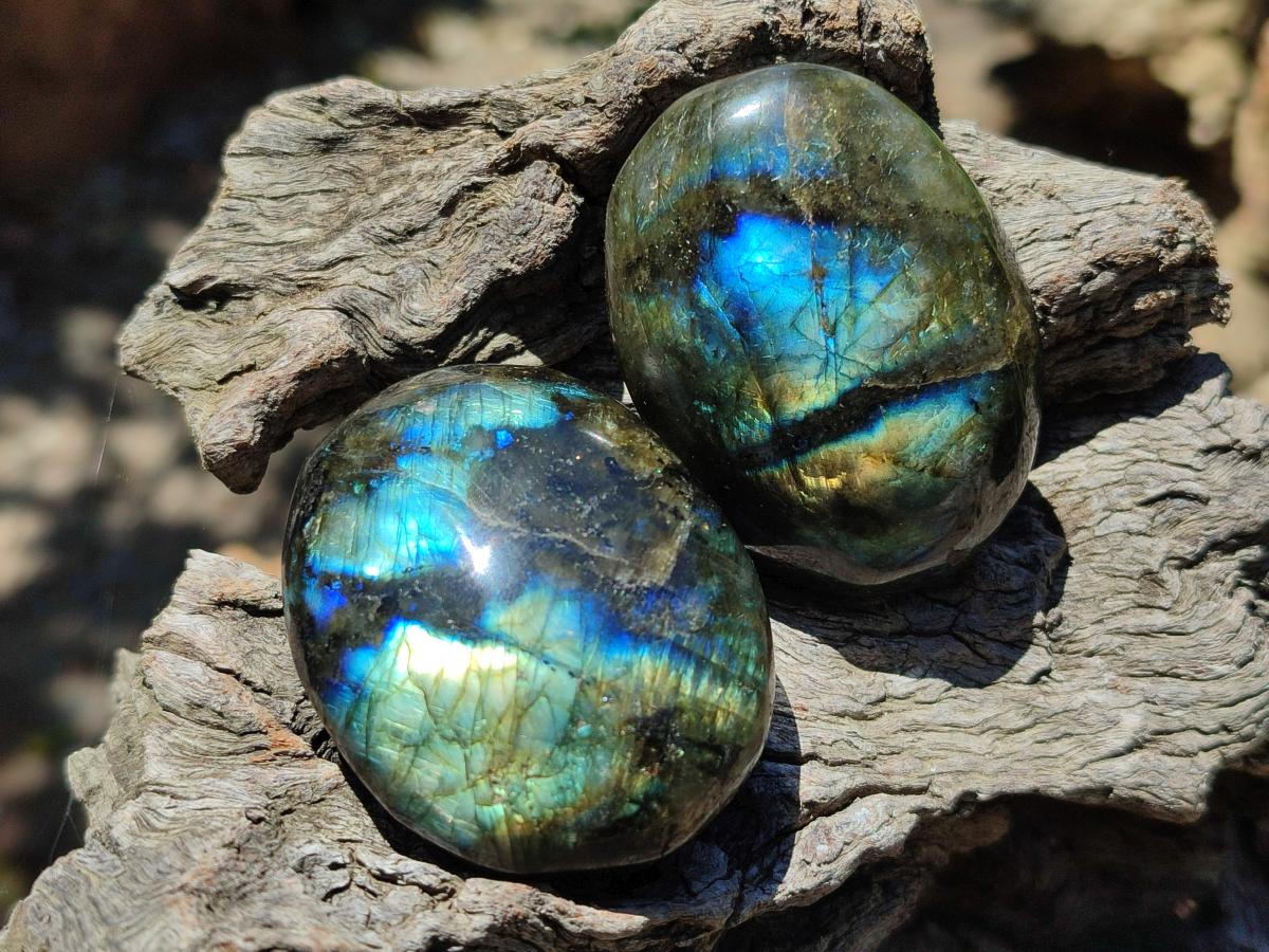 Polished Labradorite Palm Stones x 20 From Madagascar - Toprock Gemstones and Minerals 