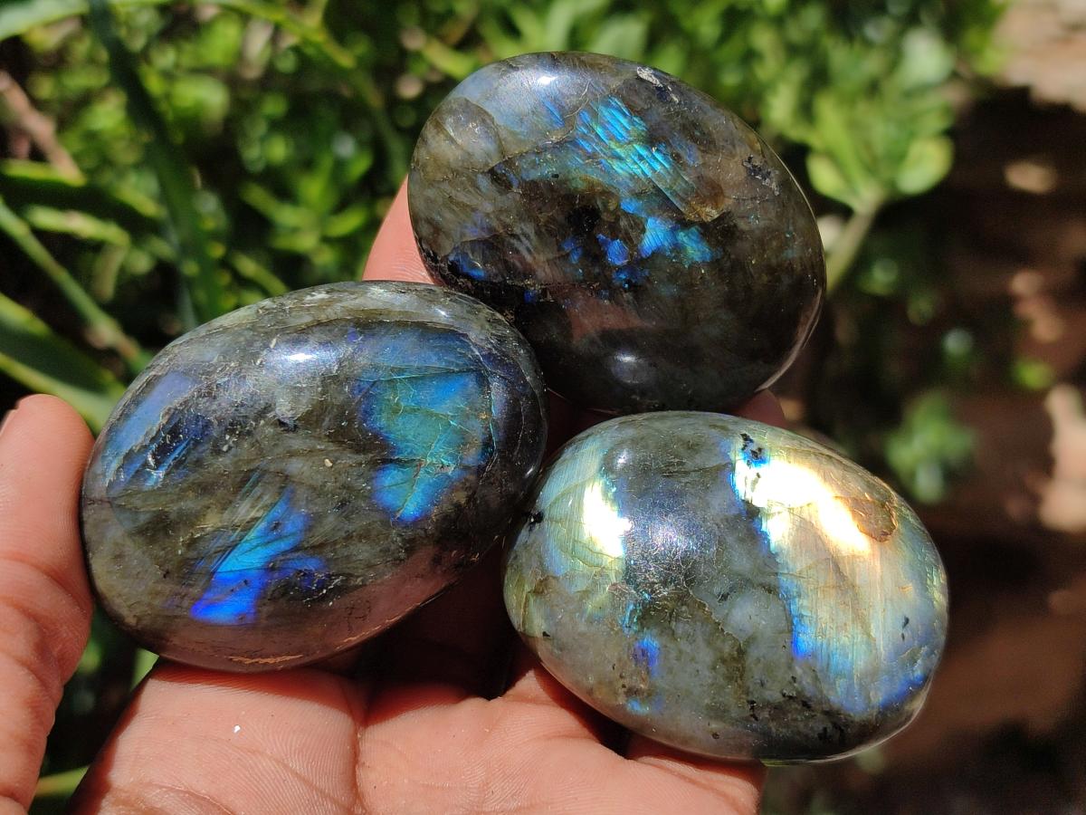 Polished Labradorite Palm Stones x 20 From Madagascar - Toprock Gemstones and Minerals 