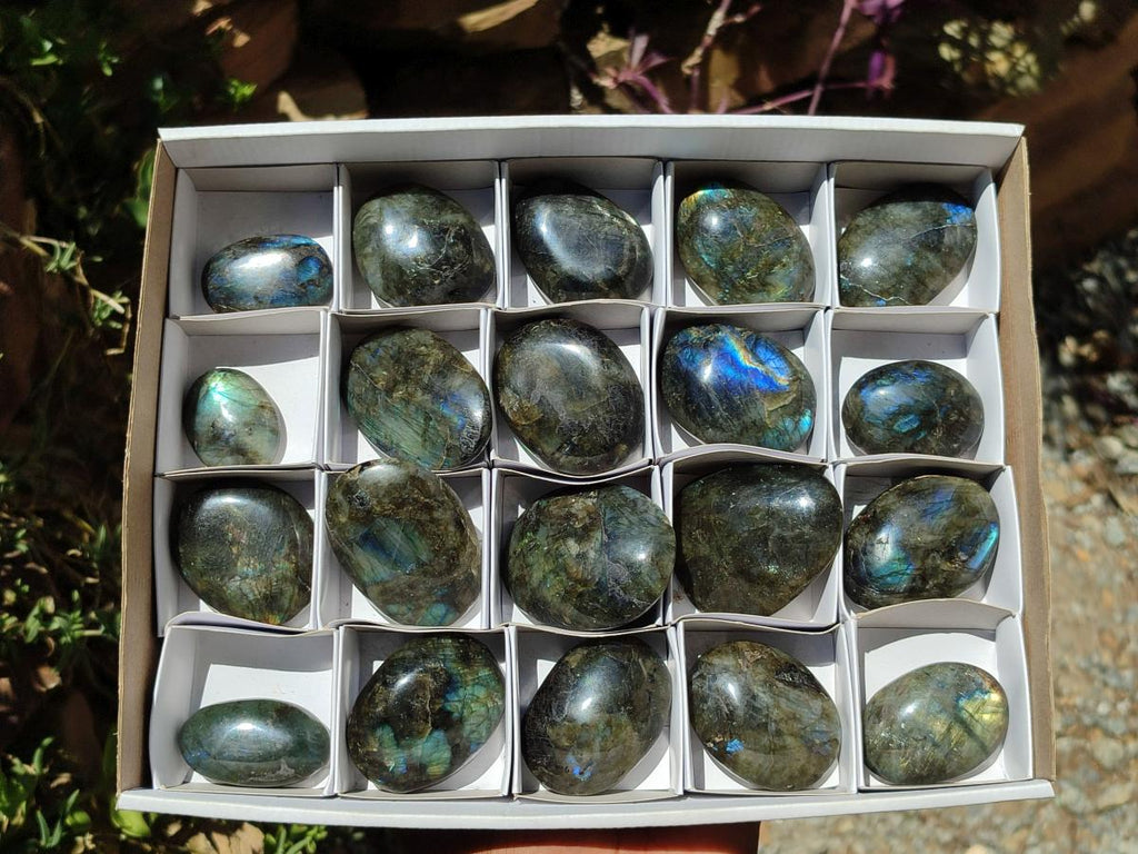 Polished Labradorite Palm Stones x 20 From Madagascar - Toprock Gemstones and Minerals 
