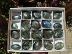 Polished Labradorite Palm Stones x 20 From Madagascar - Toprock Gemstones and Minerals 